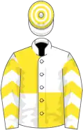 White and yellow quartered, yellow chevrons on sleeves, hooped cap
