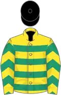 Yellow, Emerald Green hoops, chevrons on sleeves, Black cap