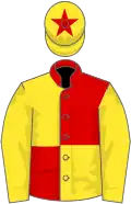 Red and yellow (quartered), yellow sleeves, yellow cap, red star