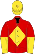 Red, yellow diamond, halved sleeves, yellow cap