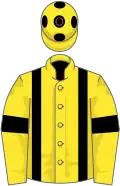 Yellow, black braces and armlets, spots on cap