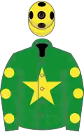 Green, yellow star and spots on sleeves, yellow cap, black spots