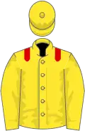 Yellow, red epaulets