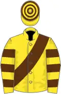 Yellow, brown sash, hooped sleeves and cap