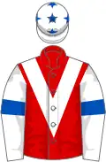 Red, white chevron, white sleeves, royal blue armlets and stars on white cap