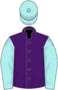Purple, pale blue sleeves and cap