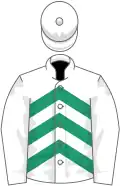 White, emerald green chevrons on body