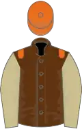 Brown, orange epaulets, beige sleeves, orange cap