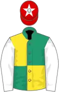 Emerald green and yellow (quartered), white sleeves, red cap, white star
