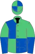 Emerald green and royal blue (quartered), halved sleeves