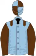 Light blue, brown epaulets and sleeves, quartered cap