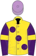 Yellow, large purple spots, purple sleeves, yellow armlets, mauve cap
