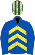 Royal blue and yellow chevrons, royal blue sleeves, striped cap