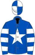 Royal blue, white star, hooped sleeves, quartered cap