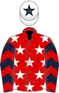 Red, White stars, Dark Blue and White chevrons on sleeves, White cap, Dark Blue star
