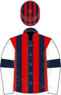 Dark Blue and Red stripes, White sleeves, Dark Blue armlets