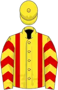 Yellow, red braces, chevrons on sleeves