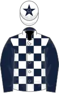 Dark blue and white check, dark blue sleeves, white cap, dark blue star