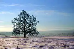 Saldus hill landscape near Lielciecere [lv]