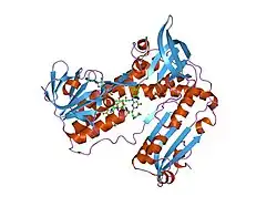 1gre: SUBSTRATE BINDING AND CATALYSIS BY GLUTATHIONE REDUCTASE AS DERIVED FROM REFINED ENZYME: SUBSTRATE CRYSTAL STRUCTURES AT 2 ANGSTROMS RESOLUTION