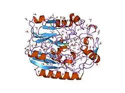 1jdx: CRYSTAL STRUCTURE OF HUMAN L-ARGININE:GLYCINE AMIDINOTRANSFERASE IN COMPLEX WITH L-NORVALINE