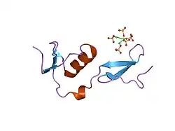 1lr8: Crystal structure of Fs1, the heparin-binding domain of follistatin, complexed with the heparin analogue D-myo-inositol hexasulphate (Ins6S)