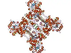 1pj2: Crystal structure of human mitochondrial NAD(P)+-dependent malic enzyme in a pentary complex with natural substrate malate, cofactor NADH, Mn++, and allosteric activator fumarate