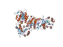 1rby: Human GAR Tfase complex structure with 10-(trifluoroacetyl)-5,10-dideazaacyclic-5,6,7,8-tetrahydrofolic acid and substrate beta-GAR