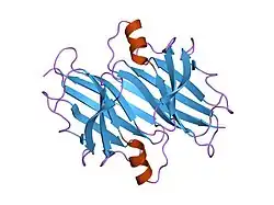 1sok: Crystal structure of the transthyretin mutant A108Y/L110E solved in space group p21212