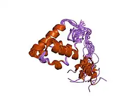 1sxe: The solution structure of the Pointed (PNT) domain from the transcription factor Erg