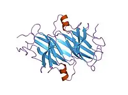 1tsh: TERTIARY STRUCTURES OF THREE AMYLOIDOGENIC TRANSTHYRETIN VARIANTS AND IMPLICATIONS FOR AMYLOID FIBRIL FORMATION