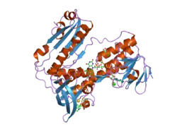 2aaq: Crystal Structure Analysis of the human Glutahione Reductase, complexed with GoPI