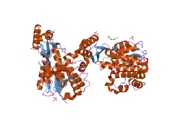 2c2n: STRUCTURE OF HUMAN MITOCHONDRIAL MALONYLTRANSFERASE