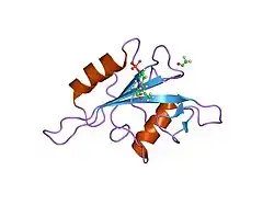 2etz: The NMR minimized average structure of the Itk SH2 domain bound to a phosphopeptide