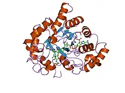 2f2k: Aldose reductase tertiary complex with NADPH and DEG