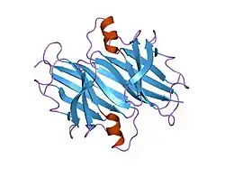 2g4g: Crystal structure of human transthyretin at pH 4.6