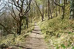 Panorama Walk, Barmouth