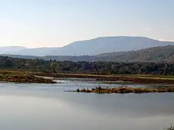 Scenery at Cap Tourmente Wildlife Area with Mont-Sainte-Anne in the background
