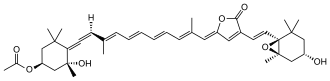 Skeletal formula