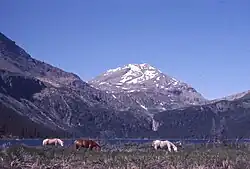 Mt. Kenny, northern Rockies