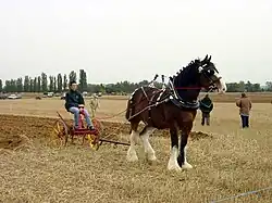 Ploughing