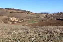 The village of Polom