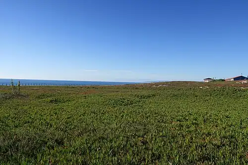A boardwalk in Santo André, Póvoa de Varzim