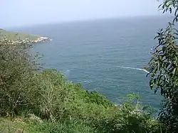 Turtle Stone Head and the Sea