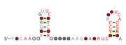 RAGATH-25 Secondary structure taken from the Rfam database. Family RF03050