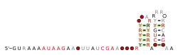 RAGATH-30 Secondary structure taken from the Rfam database. Family RF03055