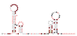 RAGATH-19 Secondary structure taken from the Rfam database. Family RF03096