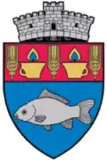Coat of arms of Șăulia