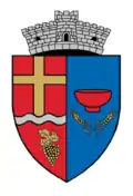 Coat of arms of Micăsasa