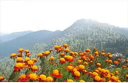 Rache-La from Kagyu Thek Chen Ling Monastery Year- 2009